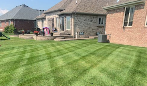 Fresh mowed lawn in Fort Worth Texas