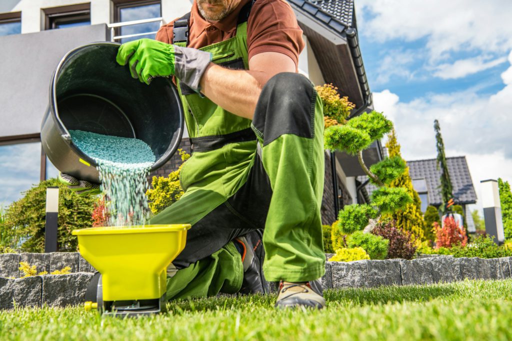 Garden Worker Preparing Grass Fertilizer