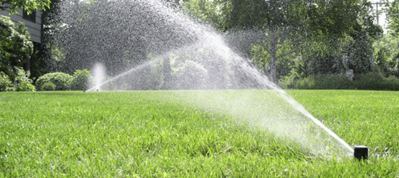 watering on lawn grass