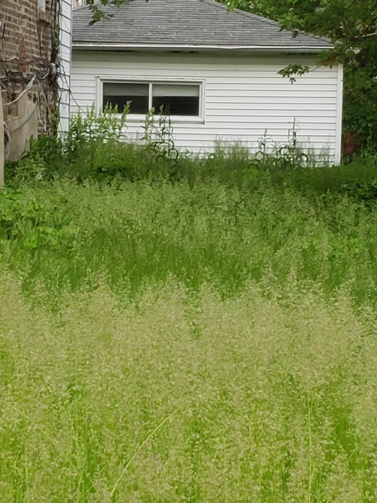 OUTstanding in the field