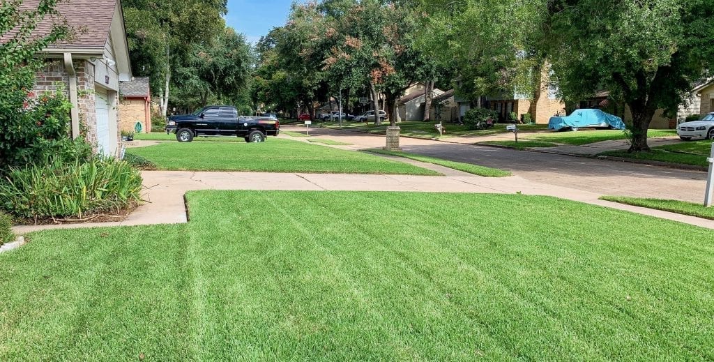 Best lawn care company in Houston, Texas