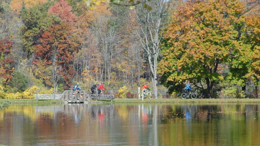 Fall foliage at Addison Oaks Park.