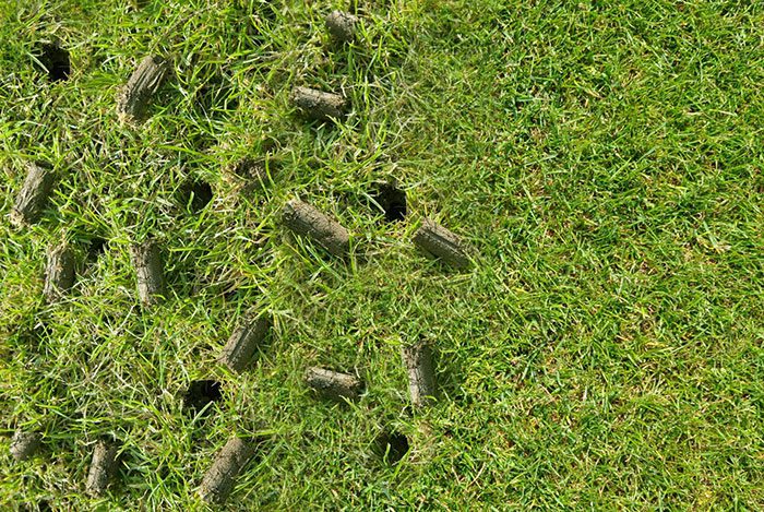 Aeration Before vs. After