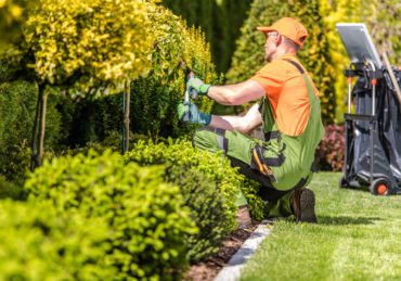 Garden Worker Trimming Plants