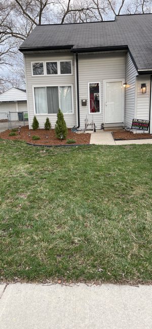 Backyard Mulch Project