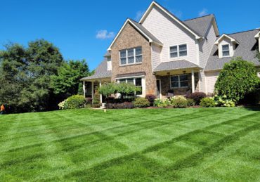 Freshly Mowed Lawn in Plymouth MI