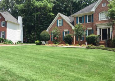 Fresh mowed lawn in Royal Oak Michigan