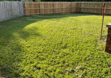 Fresh mowed lawn in Pasadena Texas
