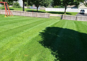 Freshly mowed lawn in Elgin Illinois