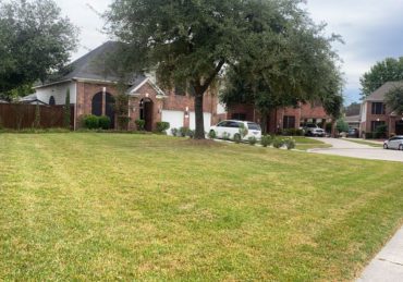 Freshly mowed lawn in League City Texas
