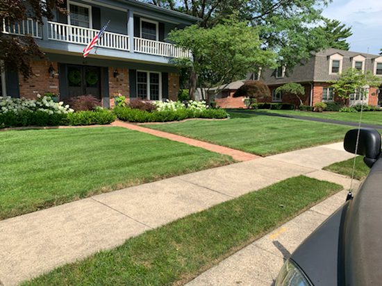 Fresh mowed lawn in Oak Lawn Illinois