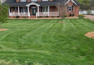 Fresh mowed lawn in Grand Prairie Texas