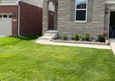 Fresh mowed lawn in McKinney Texas