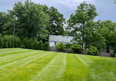 Fresh mowed lawn in Columbia Maryland
