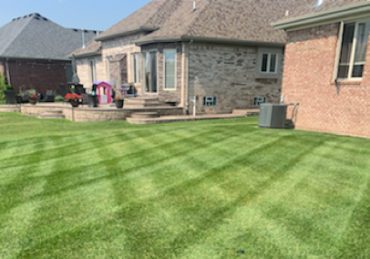 Fresh mowed lawn in Fort Worth Texas